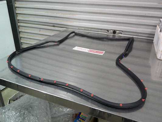 Holden TS Astra Genuine Left Hand Rear Door Seal New Part