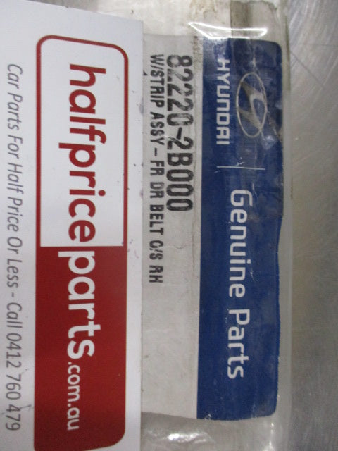 Hyundai Santa Fe Genuine Right Hand (Drivers) Front Door Outside Weather Strip Belt New Part