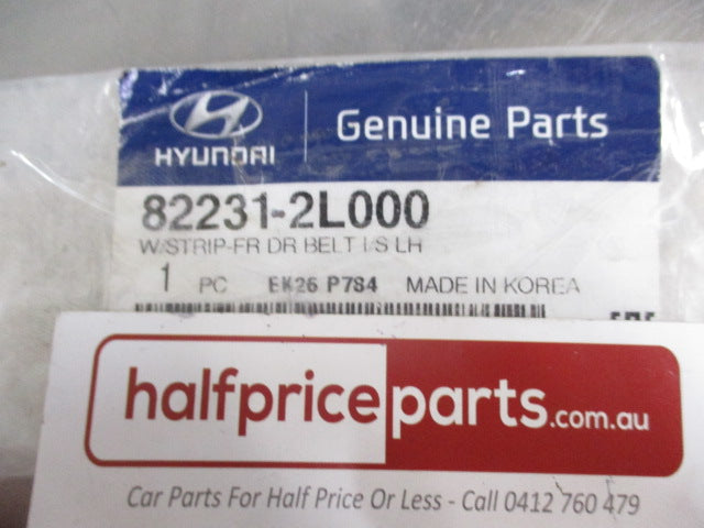 Hyundai i30 Genuine Left Hand Front Door Inside Weather Strip New Part
