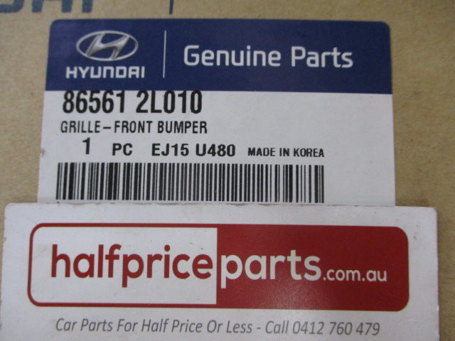 Hyundai i30 Genuine Front Bumper Lower Grille New Part