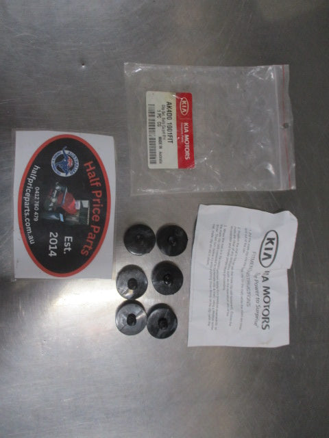 Kia Carnival Genuine Front and Rear Carpet Mat Fitting Kit New Part