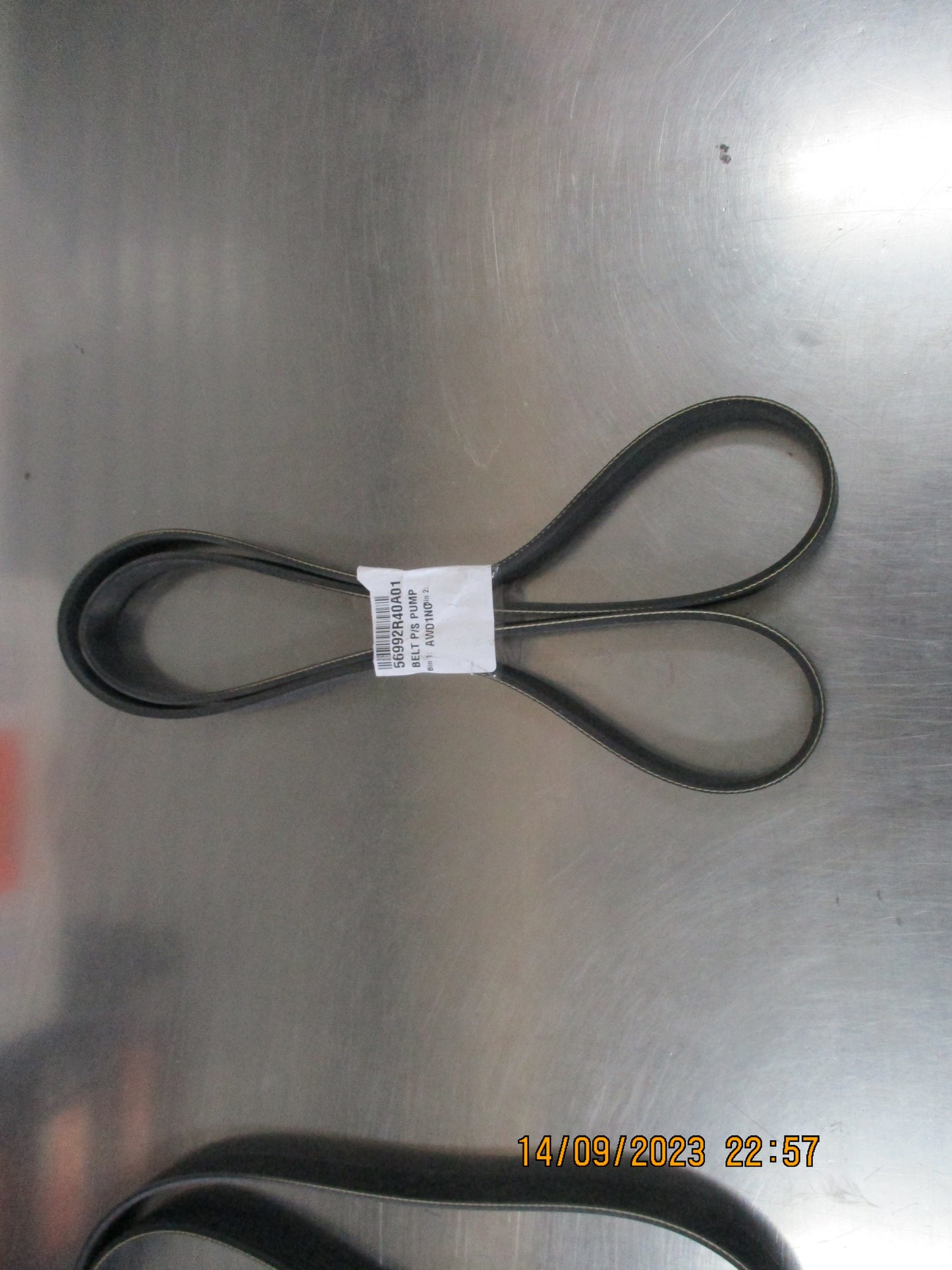 Honda Accord Genuine Power Steering Pump / Drive Belt New