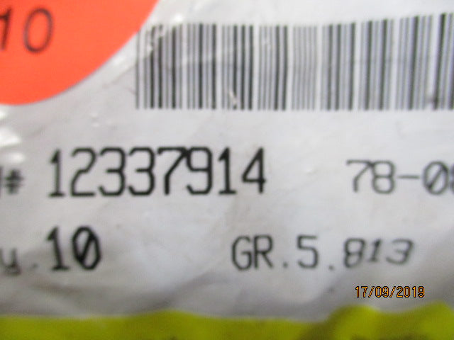 Holden VT-VX-VY-VZ Genuine Silver Lock Nut Cap New Part