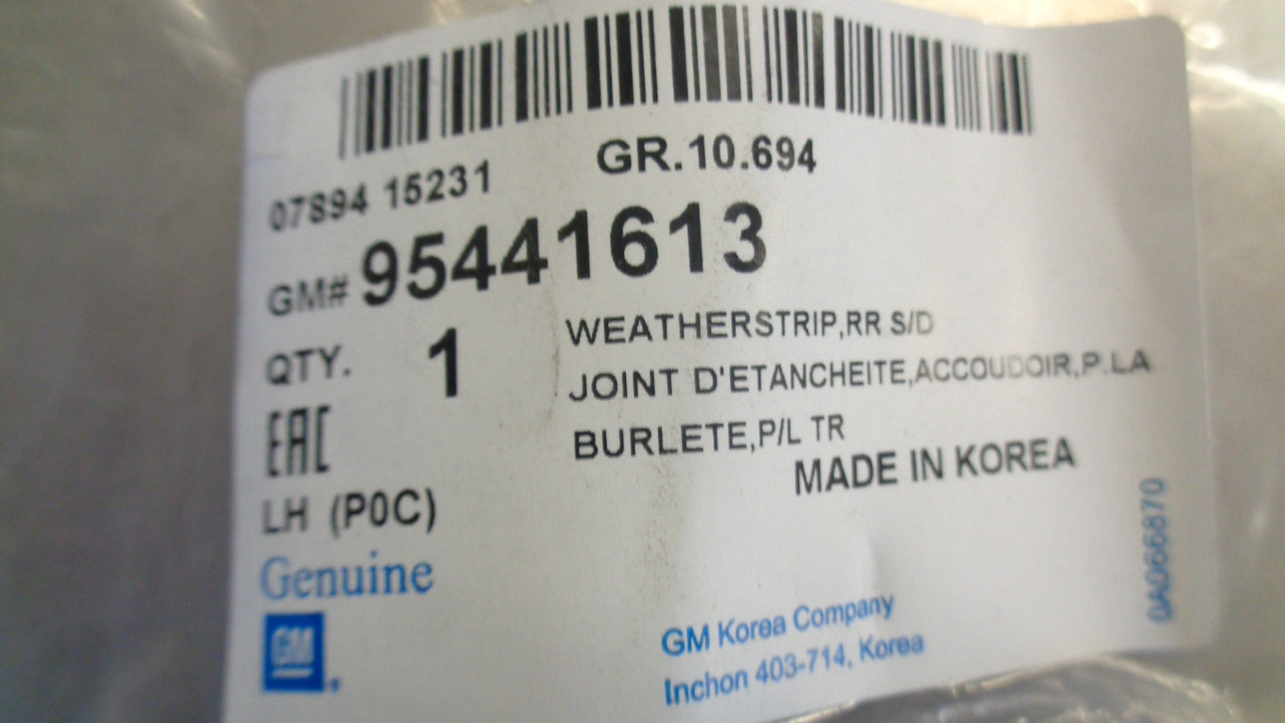 Holden TS Astra Genuine Left Hand Rear Door Seal New Part