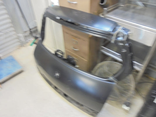 Renault Scenic II Genuine Rear Tail Gate Hatch Panel New Part