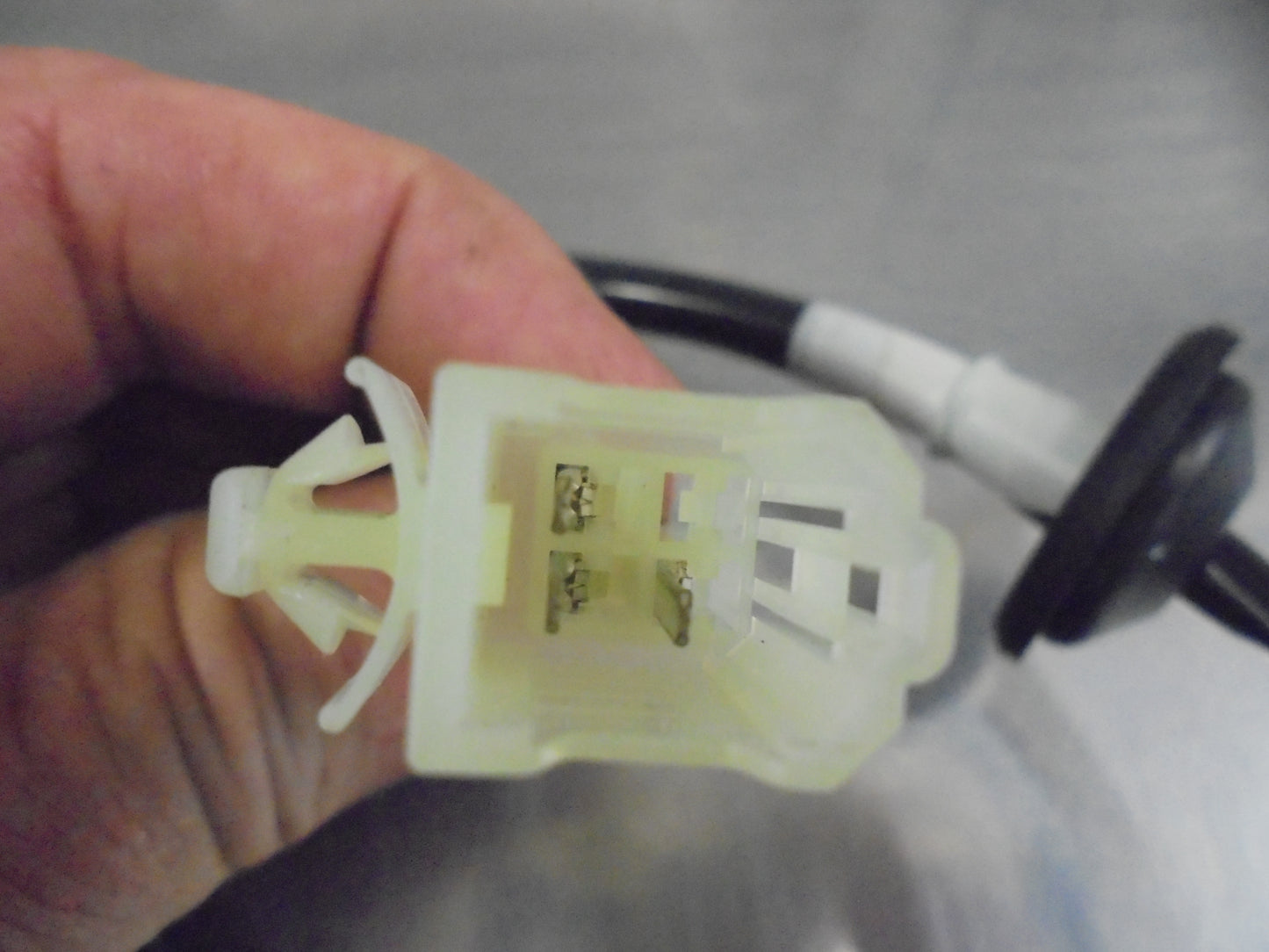 Holden YG Cruze Genuine Tail Light Wiring And Bulb Socket New Part