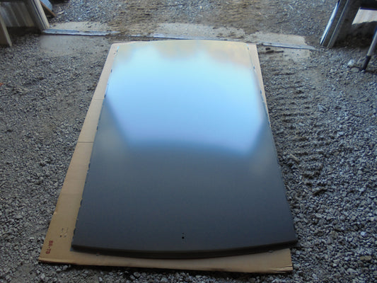Hyundai Getz Genuine Roof Panel New Part