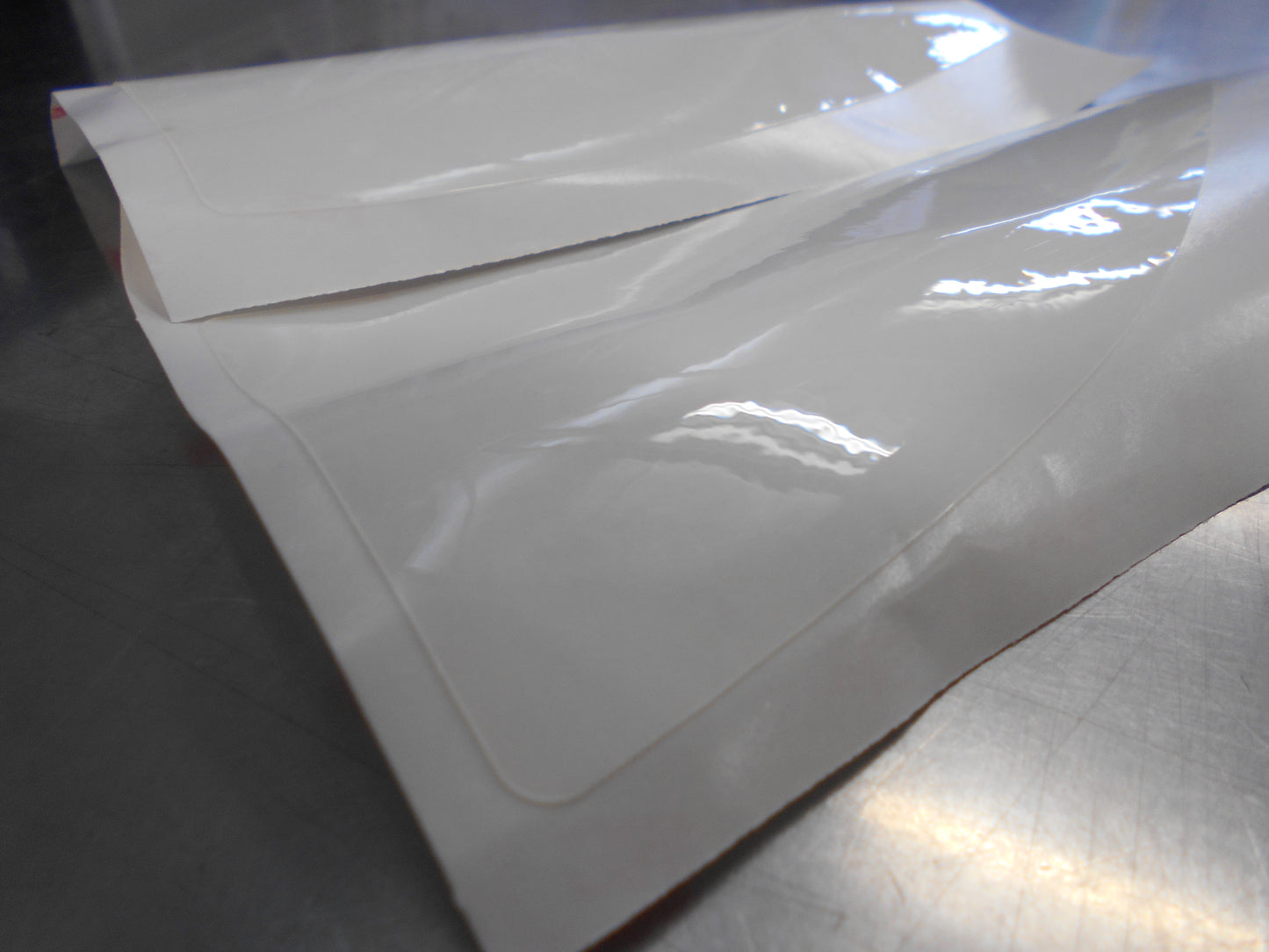 Ford SX/SY/SZ Territory Genuine Protective Side Film Pair New Part