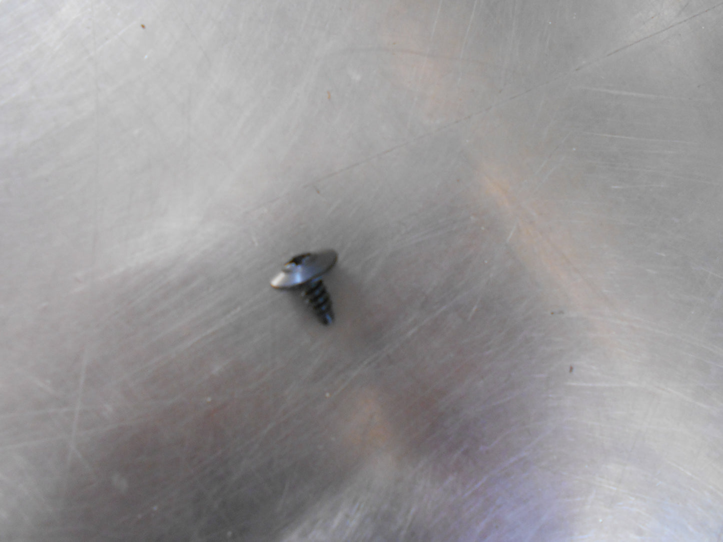 Holden Genuine Right Upper Door Applique Screw New Part