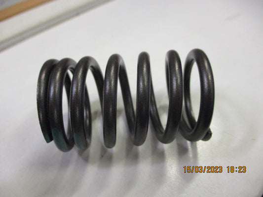 Nissan Pathfinder Genuine Outer Valve Spring New Part