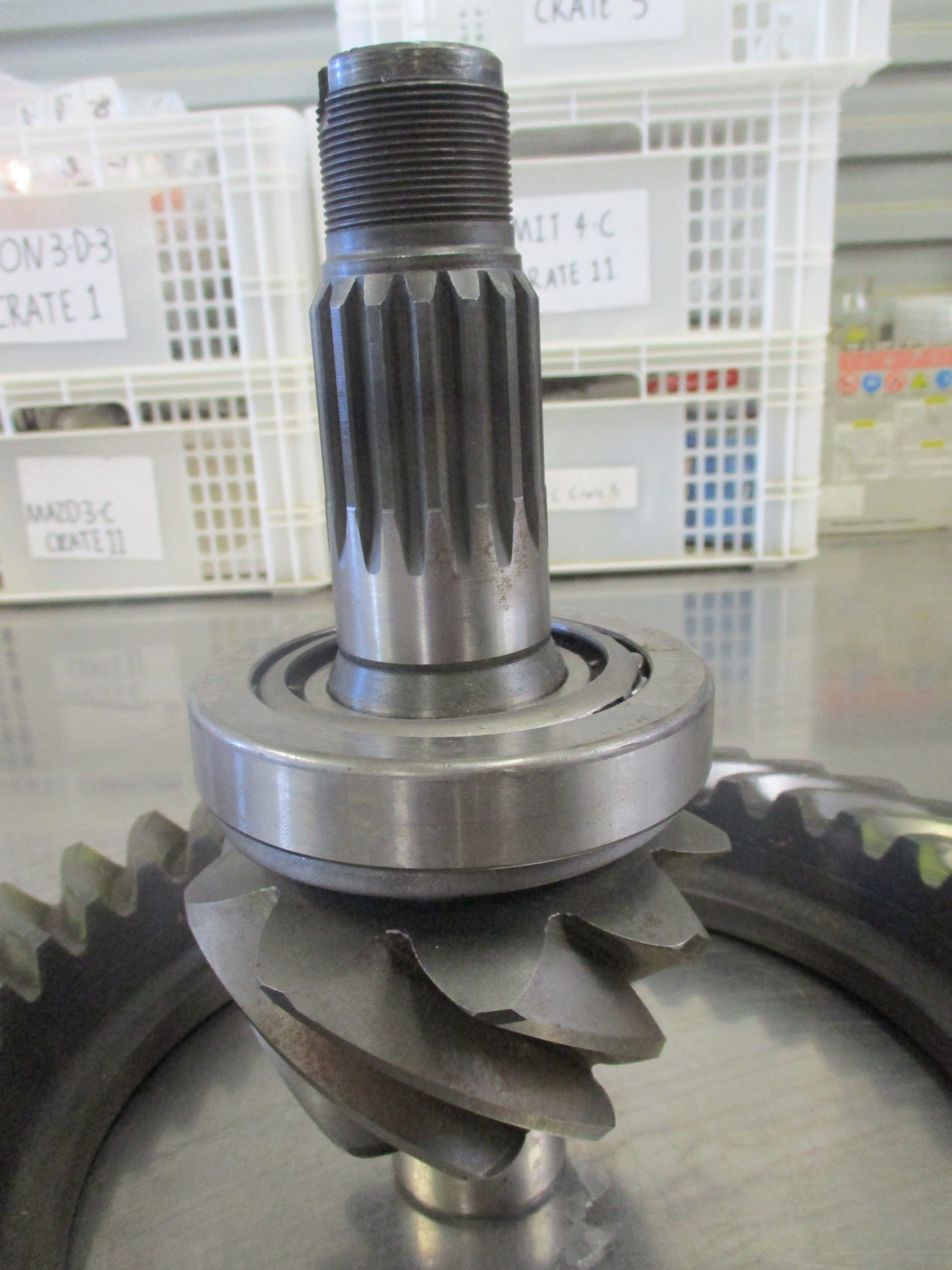 Isuzu FSR32/33 Truck Genuine Rear Final Drive Gear New Part