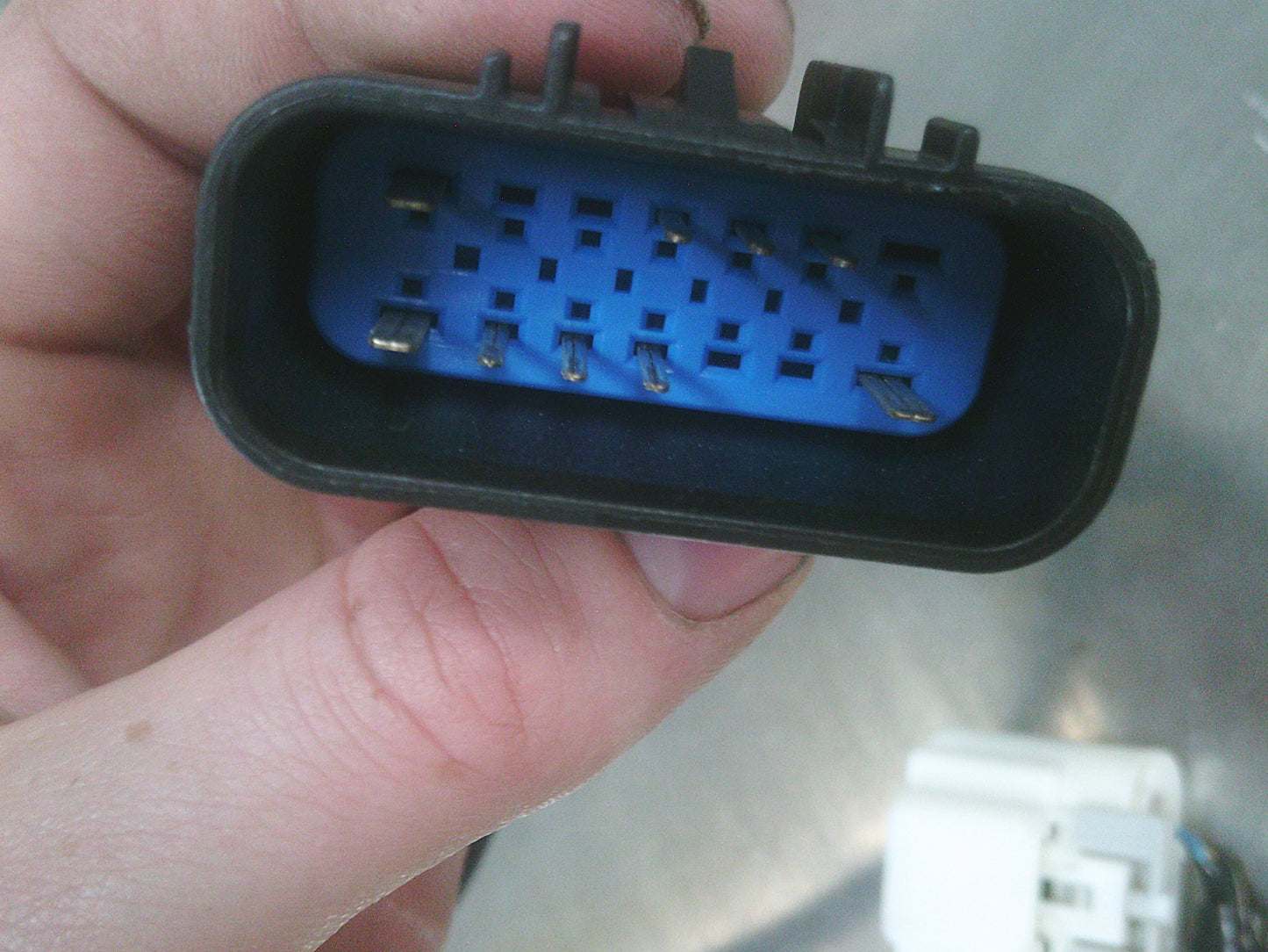 Holden VE Commodore Genuine Fog Light Harness New Part