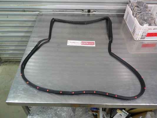 Holden TS Astra Genuine Left Hand Rear Door Seal New Part