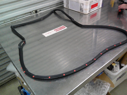 Holden TS Astra Genuine Left Hand Rear Door Seal New Part