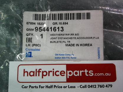 Holden TS Astra Genuine Left Hand Rear Door Seal New Part