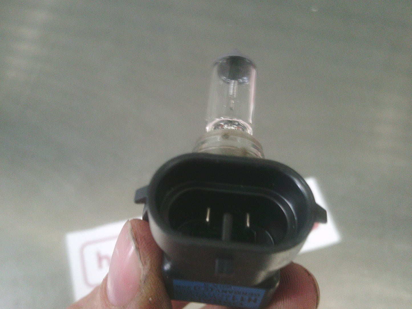 Holden VY/VZ Commodore/Various Models Genuine H11 Front Headlight High/Low Beam Bulb New Part