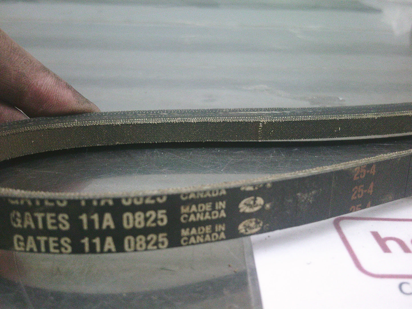 Gates/Bosch Micro V-Belt Suits Alfa-Romeo/Audi/BMW/Fiat/HDT/Holden/Mazda/Mitsubishi/Nissan/Saab/Suzuki/Toyota/VW - New Part