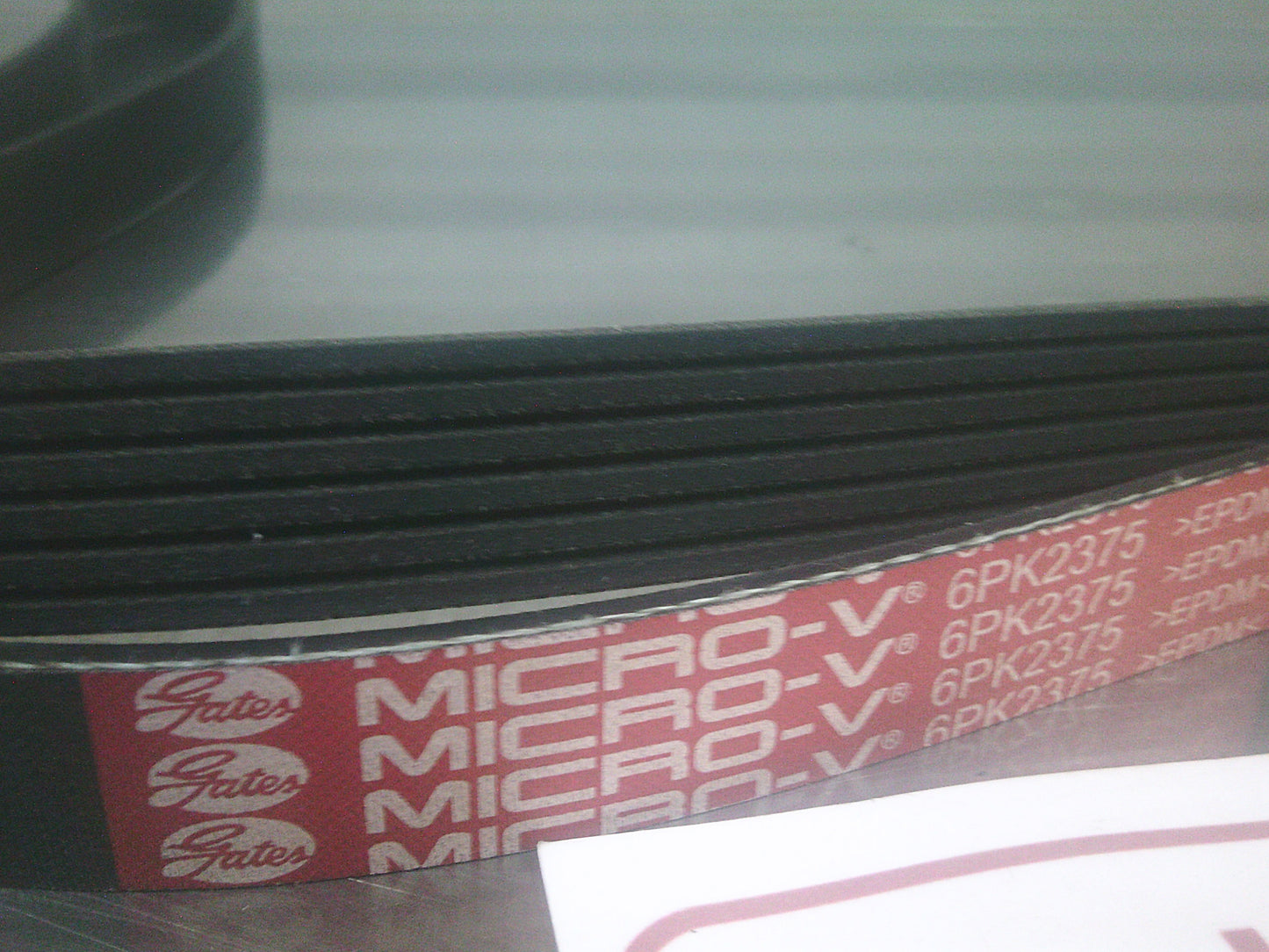 Holden VN/VP/VR/VG V6 Genuine Drive Belt With A/C - New Part