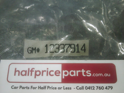 Holden VT/VX/VY/VZ Genuine Silver Lock Nut Cap New Part