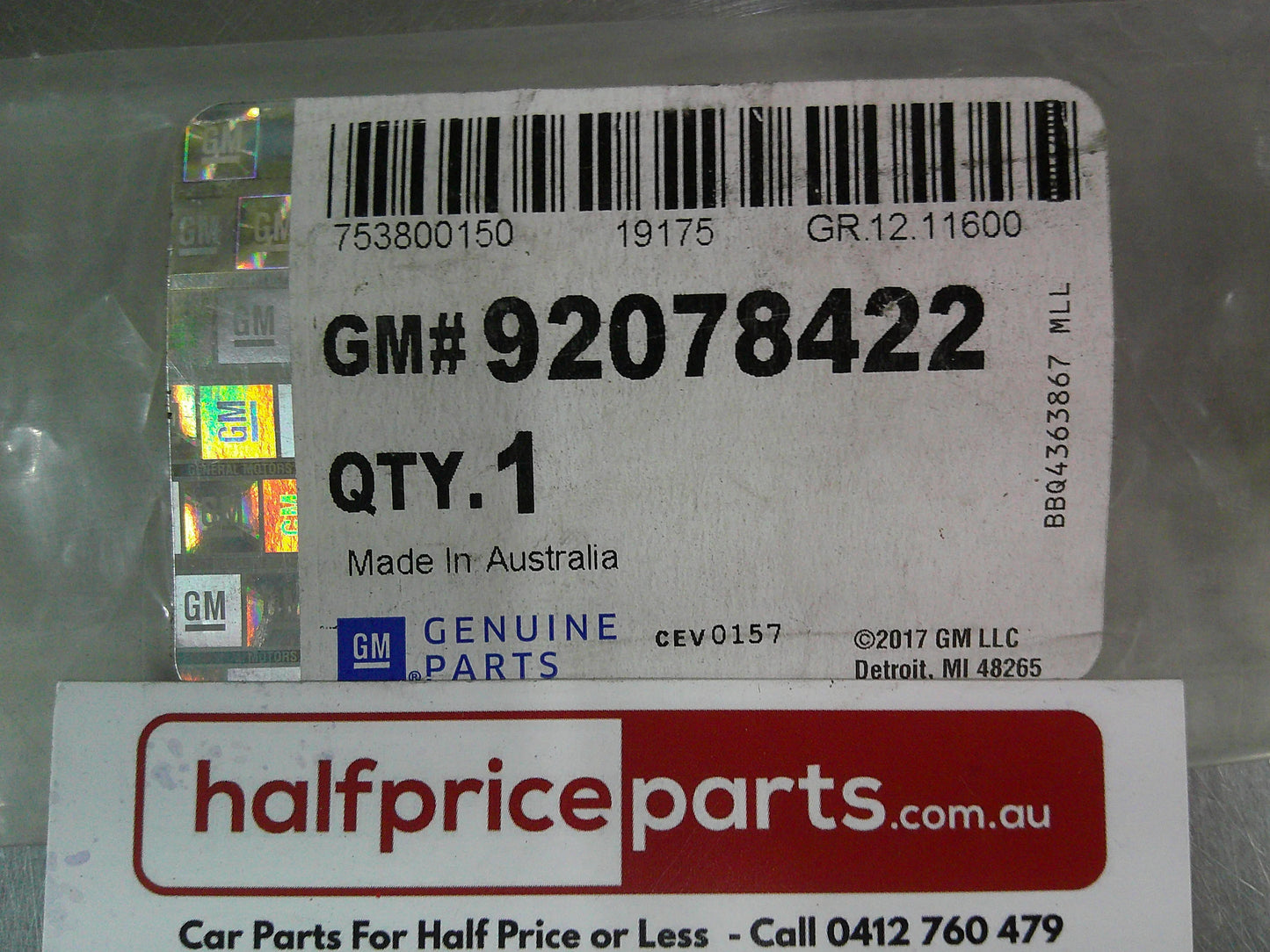 Holden VS Commodore Genuine Right Front Door Moulding (New Unpainted)New Part