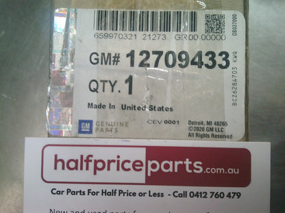 Holden Acadia Genuine Drivers Side Fuel Injection Fuel Rail New Part