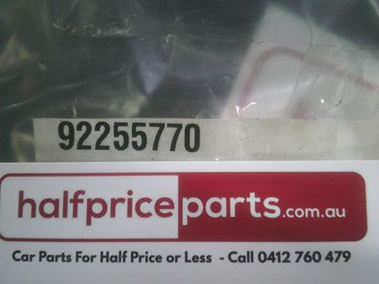 Holden RG Colorado Genuine Right Bull Bar Fog Lamp Bezel Surround (Chrome) New Part