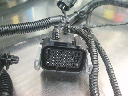 Holden RG Colorado Crew Cab/Space Cab/Single Cab Genuine Engine Wiring Harness New Part