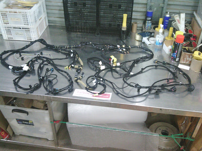 Holden RG7 Colorado/RG Trailblazer Genuine Rear Body Wiring Harness New Part .