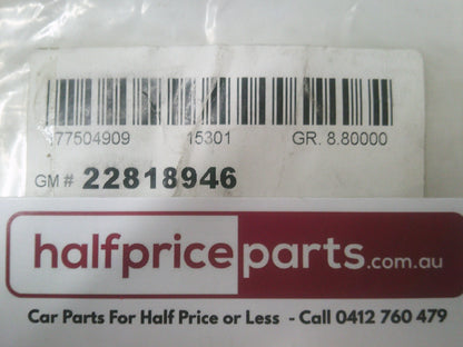 Holden Volt Genuine Front Left Hand Applique Black Out Tape New Part