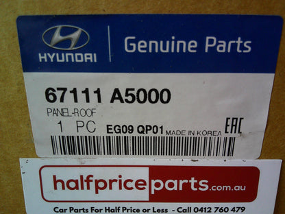 Hyundai Elantra Sedan Genuine Outer Roof Panel (Turret) Assembly (Unpainted) New Part