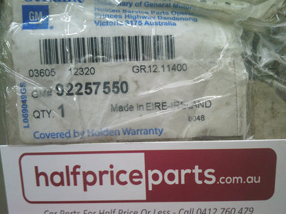 Holden VE Commodore Genuine Right Hand Rear Outer Door Moulding New Part
