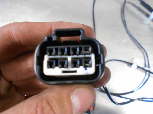 Holden VE Series 1 Commodore Genuine Fog Light Wiring Loom New