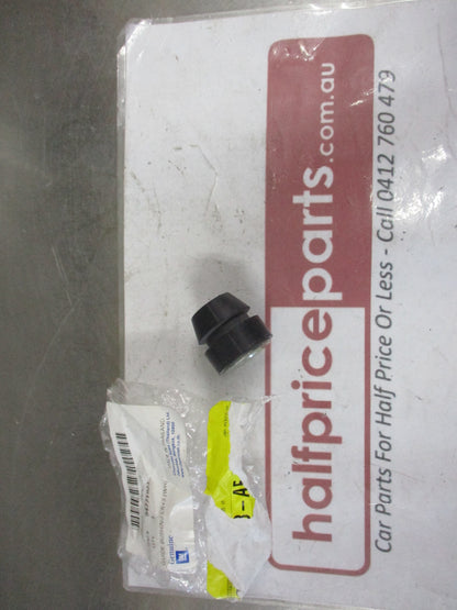 Holden RG Colorado Genuine Air Cleaner Mounting Bush New Part