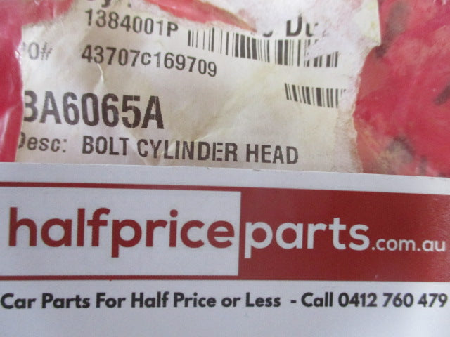 Ford Falcon 4.0L BA/BF/FG/Territory SX/SY Genuine Cylinder Head Bolt New Part