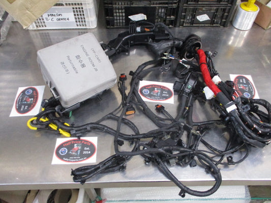Kia Carnival Genuine Front Engine Main Wiring Harness New Part.