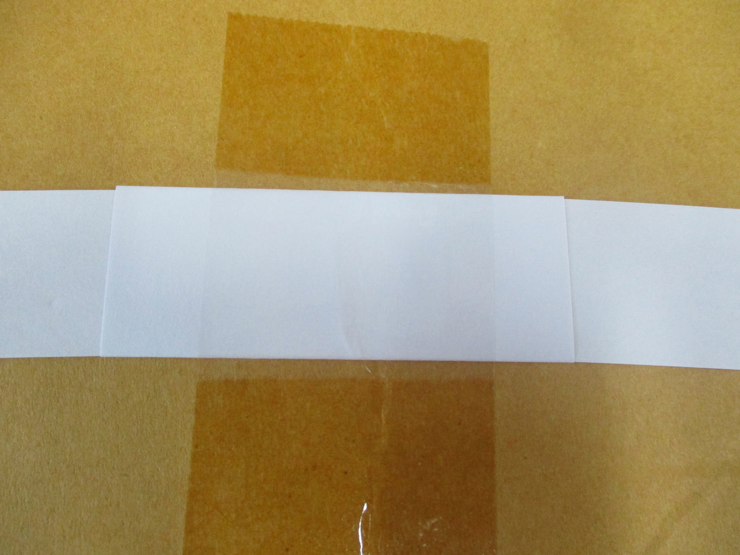 Nissan Maxima Genuine Rear Door Sash Tape New Part
