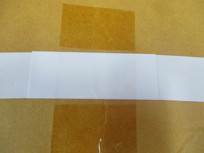 Nissan Maxima Genuine Rear Door Sash Tape New Part