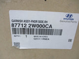 Hyundai Santa Fe Genuine Right Hand Front Flare New Part