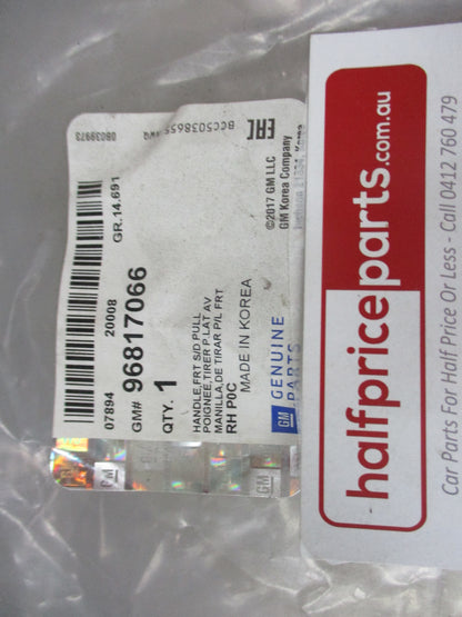 Holden Captiva Genuine Front Side Door Pull Handle New Part