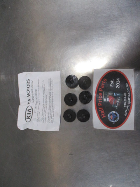 Kia Carnival Genuine Front and Rear Carpet Mat Fitting Kit New Part