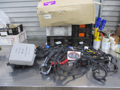 Kia Carnival Genuine Front Wiring Electrical Assembly New Part
