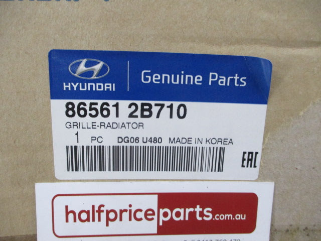 Hyundai Santa Fe CM Genuine Front Radiator Grille New Part