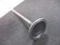 Citroen DS3/Mini/Peugeot Genuine Inlet Valve New Part