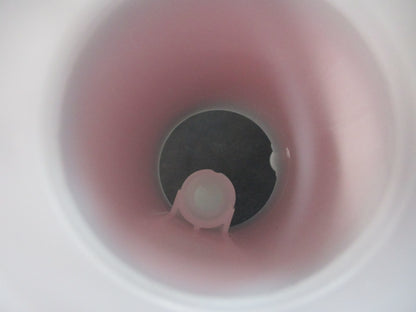 KIA Seltos Genuine Fuel Pump Filter New Part