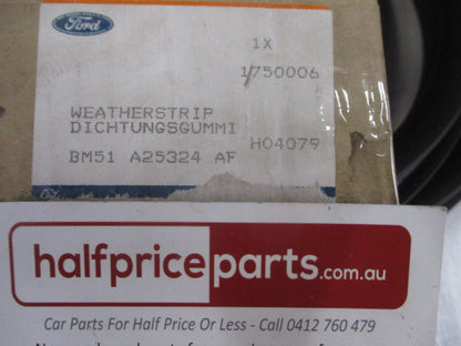 Ford Focus Genuine Left Or Right Rear Door Weather Strip (Door Side) New Part