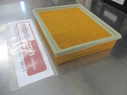 Holden Frontera Genuine Engine Air Filter New Part