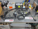 Holden RG Colorado Crew Cab Genuine Engine Wiring Harness New Part