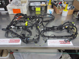 Holden RG Colorado/Trailblazer/Colorado 7 Genuine Rear Body Wiring Harness New Part