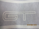 Ford FG GT-GTP Genuine Rear Door Stripe Kit Silver New Part