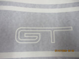 Ford FG GT-GTP Genuine Rear Door Stripe Kit Silver New Part